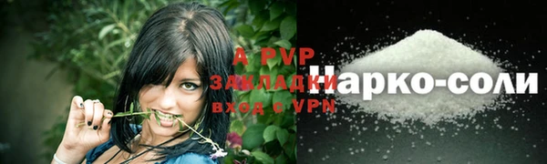 сатива Зеленокумск
