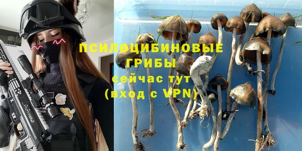 PSILOCYBIN Зеленодольск