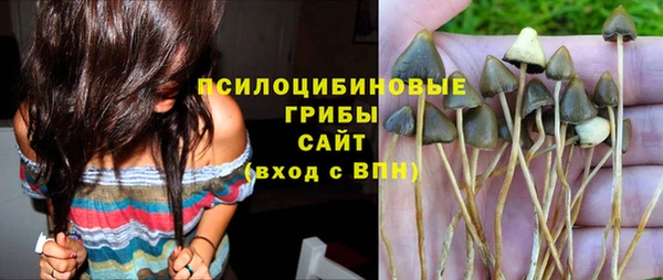 сатива Зеленокумск