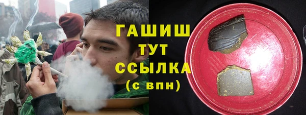 сатива Зеленокумск
